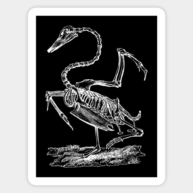 Swan Skeleton Sticker by tommartinart